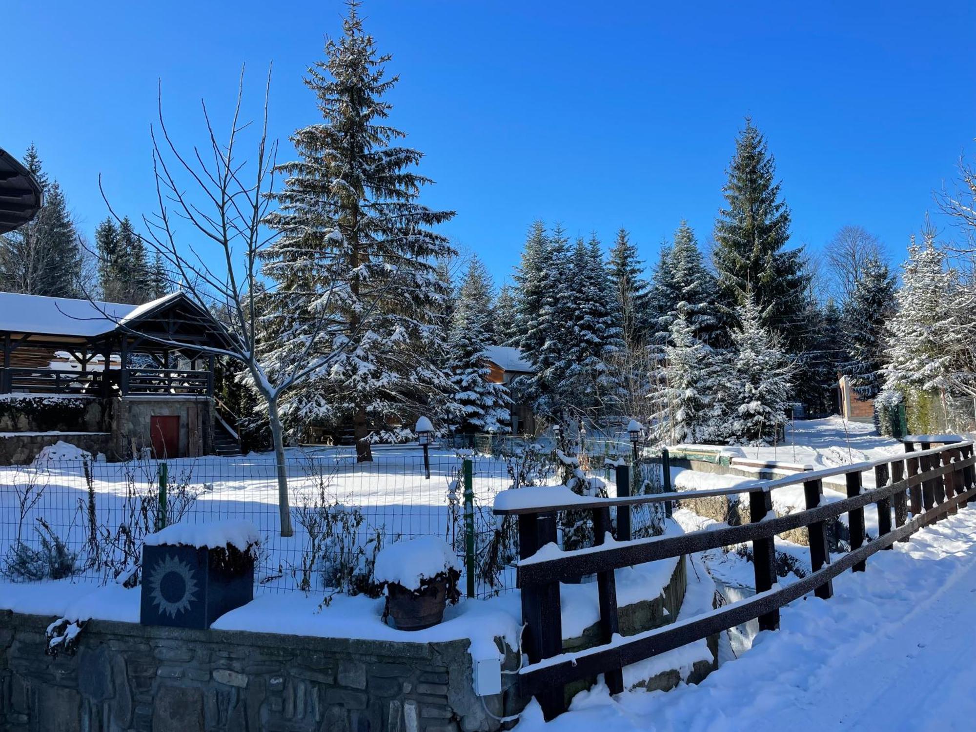 Montana Otel Sucevita Dış mekan fotoğraf